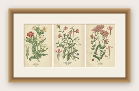 Victorian Botanical Elegance: A Triptych of Edward Step's Floral Masterpiece, shown framed