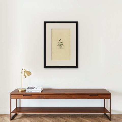 Antique Botany Print of Viola Palustris by Curtis, circa 1817, shown framed on a wall, true to size