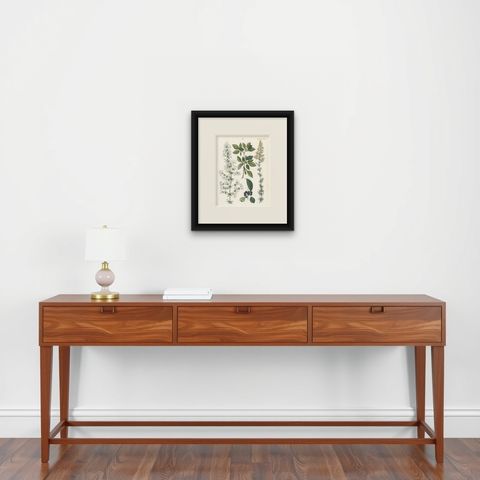 Hand-Colored Botanical Lithograph of Madder, Buckthorn, Cleavers, 1854, shown framed on a wall, true to size