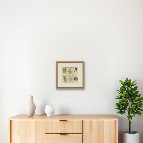 Set of 6 Botany Prints, Caladium Verschaffelt, Cordyline Indivisa, 1891, shown framed on a wall, true to size