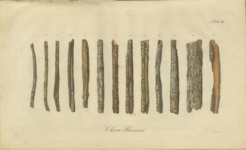 Cinchona Bark Varieties: A Rare Hand-Colored Illustrated Botanical Atlas (1826), view 3