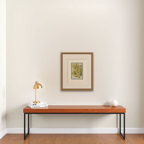 Antique Botany Print of the Decaisnea by Van Houtte 'c.1845', shown framed on a wall, true to size