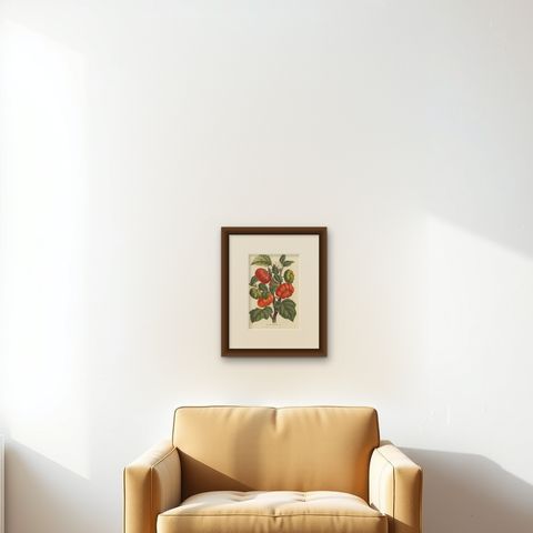Texas Nightshade Botanical Illustration, Lithograph, 19th Century, shown framed on a wall, true to size