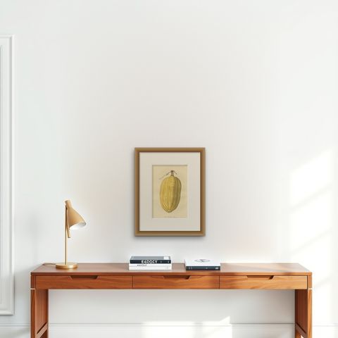 Antique Print of the Vegetable Marrow, shown framed on a wall, true to size