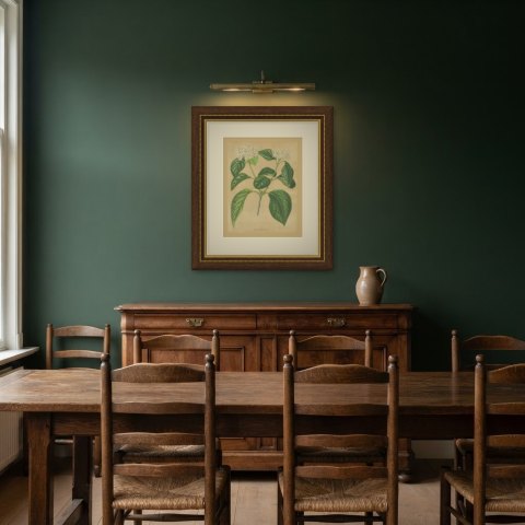 Viburnum Macrophyllum, Flowering Branch on Buff Ground, 1859, shown framed in a room, true to size