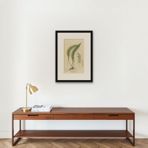 Artfully Handcolored Lithograph of Ferns of Java 'Polypodium', 1829, shown framed on a wall, true to size