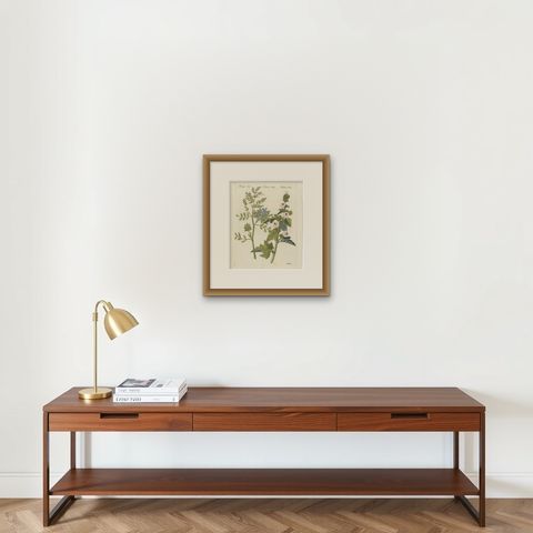 Marshmallow and Wormwood Medicinal Herbs, Antique Bertuch Print, circa 1812, shown framed on a wall, true to size