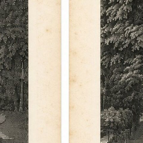 Set of Two Saint-Cloud Garden Fountain Engravings by Baltard, Paris, 1803, close-up 4