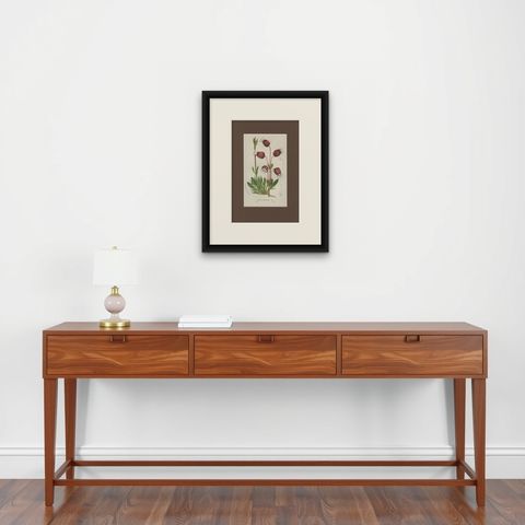 Prepusa hookeriana, A Rare 19th-Century Botanical Print in Elegant Matting, shown framed on a wall, true to size