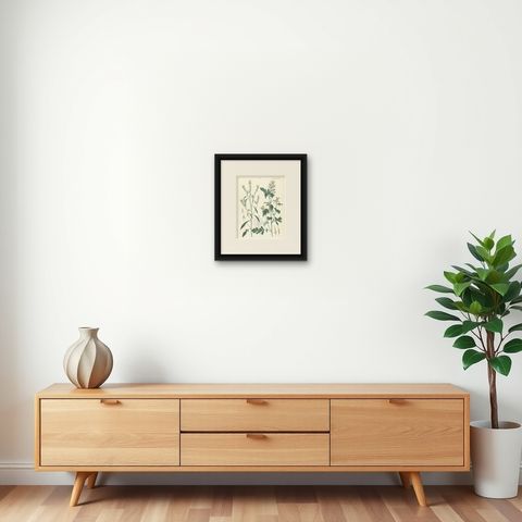 Hand-Colored Botanical Lithograph of Wild Mustard and Charlock, Calwer, 1854, shown framed on a wall, true to size