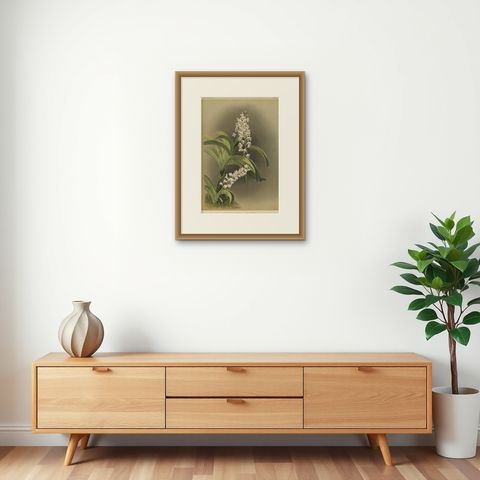Antique Botanical Print, Lavender-White Orchid Saccolabium coeleste, ca.1888, shown framed on a wall, true to size