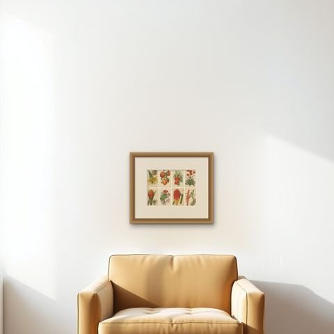 Original Vintage Botanical Illustrations from Revue Horticole, circa 1855, shown framed on a wall, true to size