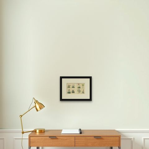 Pair of Victorian Botanical Flower Prints by B. Maund, London circa 1836, shown framed on a wall, true to size