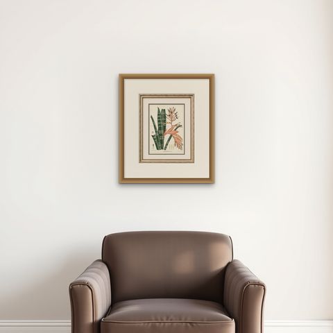 Antique Botanical Lithograph, Rohan’s Billbergia, de Vriese, 1856, shown framed on a wall, true to size