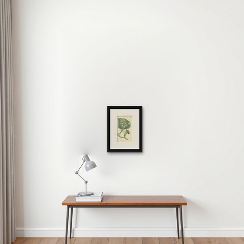 Antique Botany Print of Ecballium Elaterium by Curtis, 1817, shown framed on a wall, true to size
