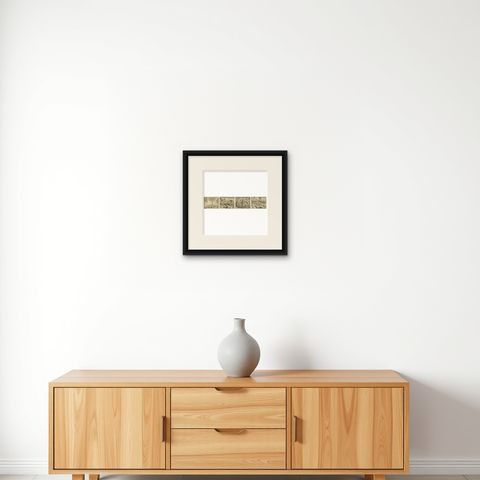 De Bry Botanical Engravings, Cinnamon, Aloe & Aromatic Plants, c.1598, shown framed on a wall, true to size