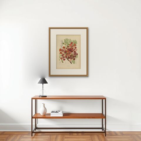 Antique Royal Poinciana Botanical Chromolithograph by Hoola van Nooten, c. 1880, shown framed on a wall, true to size