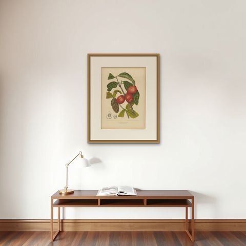 Antique Wax Apple Fruit Botanical Chromolithograph by Hoola van Nooten, c. 1880, shown framed on a wall, true to size