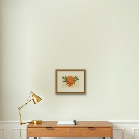 Enchanted Blossoms: Masterpieces of Botanical Art from Van Houtte's Florilegium, shown framed on a wall, true to size