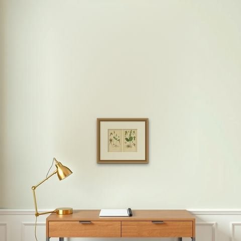 Listera Lore: Botanical Illustrations of Heart-Leaved Orchids from 1904, shown framed on a wall, true to size