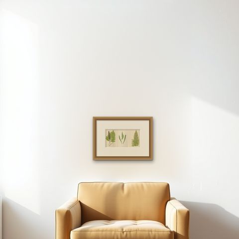 Antique Hand-Colored Fern Prints, Onoclea, Fadyenia, Cyclopeltis, 19th Century, shown framed on a wall, true to size