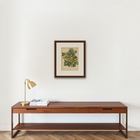 Antique Print of a Jefferson Plum by G. Severeyns, 1876, shown framed on a wall, true to size