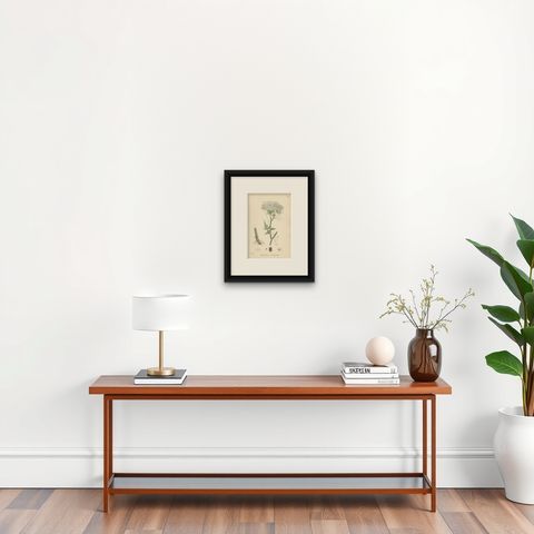 Antique Botany Print 'Marsh Hog's-Fennel' by J. Sowerby, circa 1860, shown framed on a wall, true to size