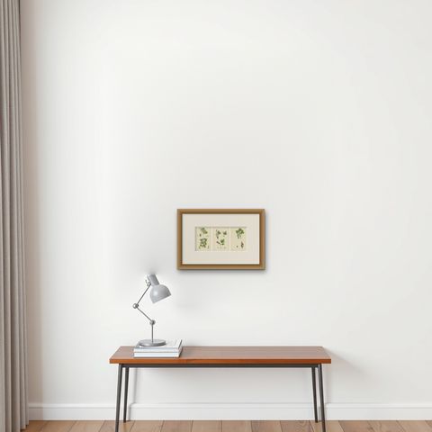 Hand-Colored Botanical Engravings of Gooseberry and Currant Varieties, 1902, shown framed on a wall, true to size