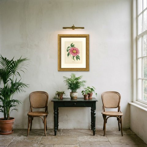 Tree Peony Impératrice de France, Paeonia Moutan Chromolithograph, 1858, shown framed in a room, true to size
