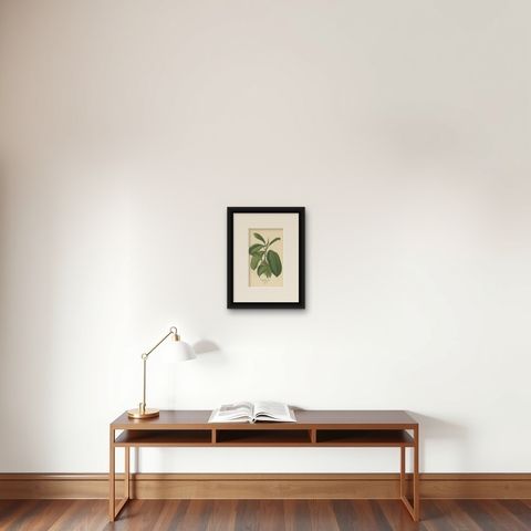 1897 Victorian Botanical Print, India-Rubber Plant (Ficus Elastica), shown framed on a wall, true to size