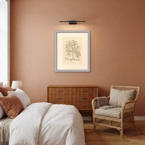 Aralia Pentaphylla Shrub with Flower and Fruit Details Lithograph, 1858, shown framed in a room, true to size