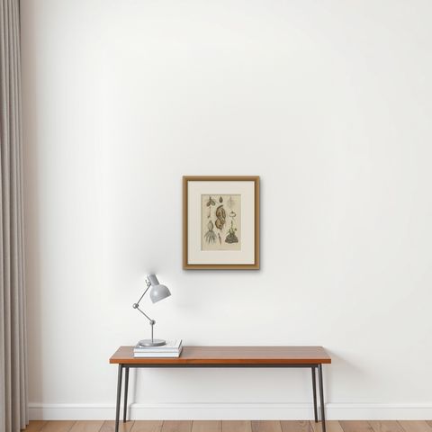 Decorative Antique Print of Various Roots for a Gardener or Farmer, 1854, shown framed on a wall, true to size