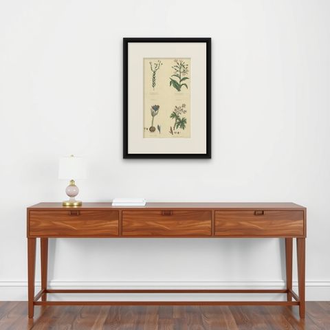 Old Botanical Quartet: Portraits of Flax, Tobacco, Saffron, and Patience, 1823, shown framed on a wall, true to size