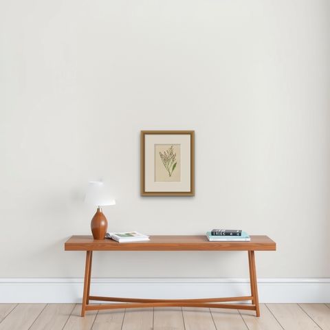 Alpine Botanical Lithograph of Dwarf Hoary Sea-lavender, 1874, shown framed on a wall, true to size