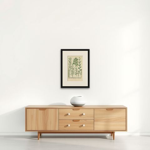 Antique Hand-Coloured Botany Print of Various Plants, 1742, shown framed on a wall, true to size