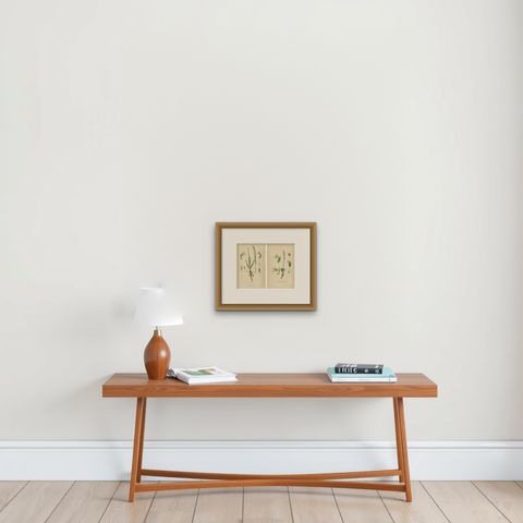 Spiranthes Splendor: Vintage Botanicals from 1904, shown framed on a wall, true to size