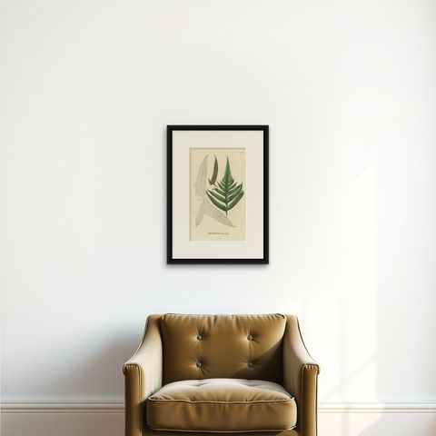 Rare, Artfully Handcolored Lithograph of Ferns of Indonesia (Polypodium), 1829, shown framed on a wall, true to size
