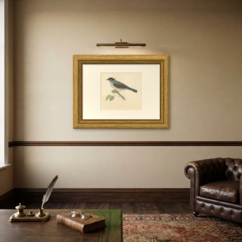 Blackcap with Hanging Leaves, Hand Colored Wood Engraving, Morris, 1896, shown framed on a wall, true to size