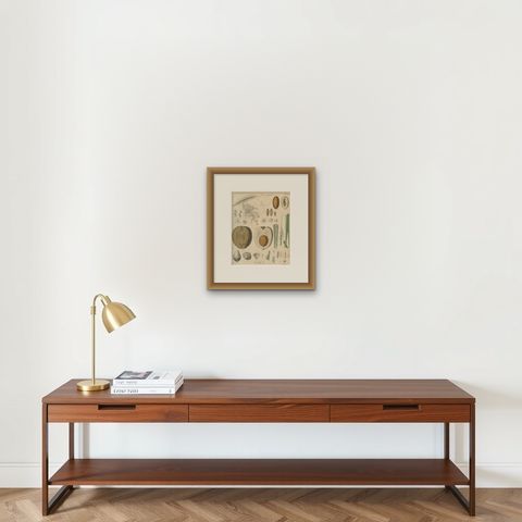 Antique Botanical Print of Coconut Palm, Copper Engraving, c.1831, shown framed on a wall, true to size