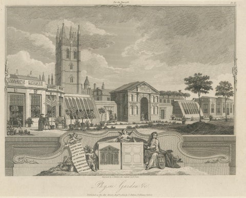Antique Oxford Botanic Garden Engraving, Oxford Almanack, Benjamin Green, 1820, close-up 2