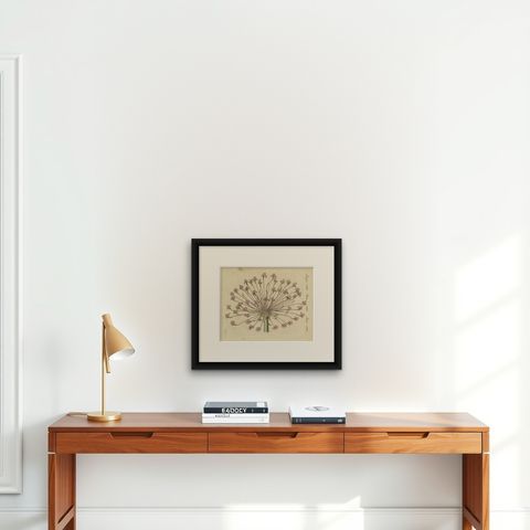Brunsvigia Candelabra Lily Flower Head, Antique Bertuch Print, circa 1815, shown framed on a wall, true to size
