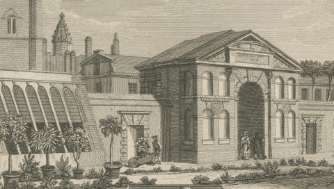 Antique Oxford Botanic Garden Engraving, Oxford Almanack, Benjamin Green, 1820, close-up 4