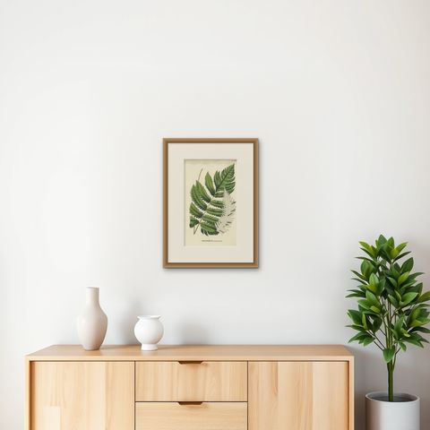 Rare, Artfully Handcolored Lithograph of Ferns of Java 'Polypodium', 1829, shown framed on a wall, true to size