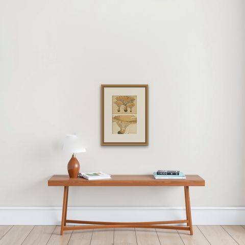 Set of 2 Antique Mycology Prints of Various Fungi by Barla, circa 1890, shown framed on a wall, true to size