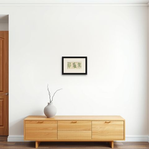 1897 Vibrant Botanical Prints, Baby Blue Eyes, Cherry Pie and Blue Eyed Mary, shown framed on a wall, true to size