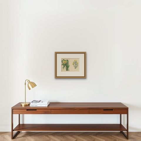 Set of 2 Antique Botany Prints, Dietes Bicolor Plant, Gompholobium '1846', shown framed on a wall, true to size