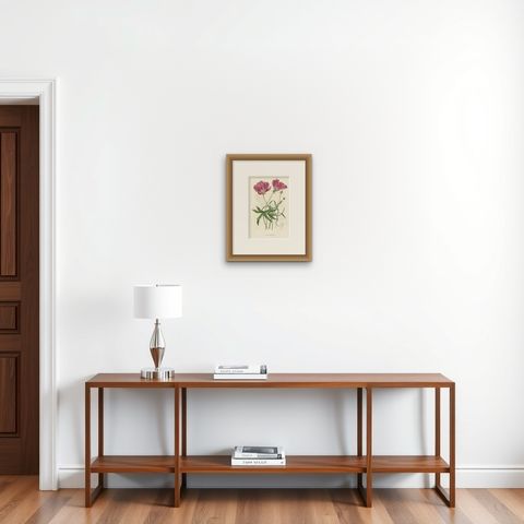 Antique Botany Print of the Large-Flowered Nuttalia, 1847, shown framed on a wall, true to size