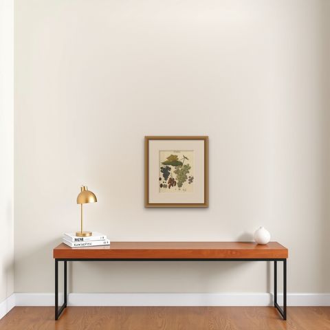 Antique Grape Varieties Botanical Print, Vitis Vinifera Study, c.1831, shown framed on a wall, true to size