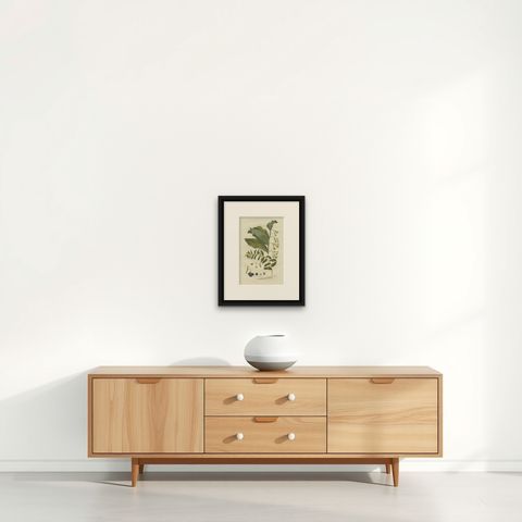 Antique Botany Print of the Polygonatum Multiflorum or Solomon's Seal, shown framed on a wall, true to size