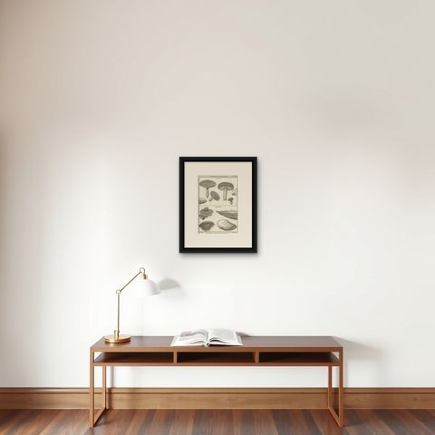 Decorative Antique Engraving of Suillus and Agaricus Mushrooms, c.1800, shown framed on a wall, true to size